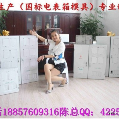 浙江注塑模具 国网新标准三相2电表箱模具小霞地址图3
