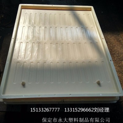 保定市永大塑料制品有限公司RPC盖板塑料成型模图4