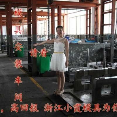 注塑模具 中国定做同悦车中网模具 格栅模具 面罩模具 散热器格栅模具 门板模具 车门内板模具 汽车轮拱模具供应商图5