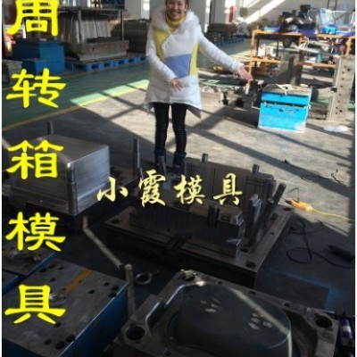 谁家专做塑胶模具 箱塑料模具小霞模具厂图4