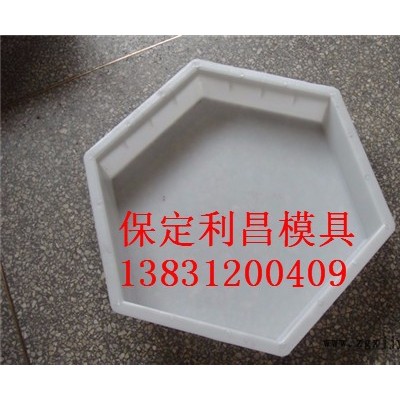 六角护坡塑料模具 保定利昌模具图3