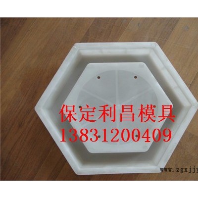 六角护坡塑料模具 保定利昌模具图4