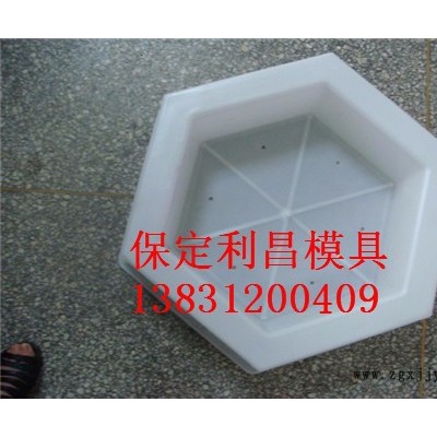 六角护坡塑料模具 保定利昌模具图5