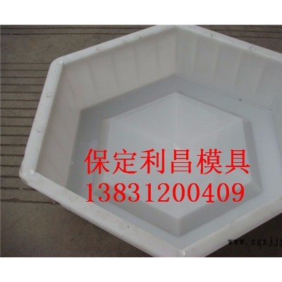 六角护坡塑料模具 保定利昌模具图2