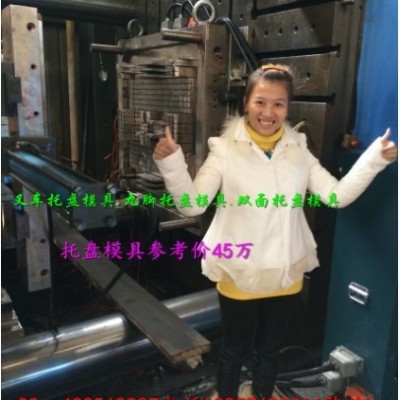 浙江塑胶模具厂塑料九脚托盘模具  一米二 网格托盘注塑模具专业生产图3