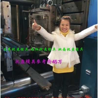 浙江塑胶模具厂塑料九脚托盘模具  一米二 网格托盘注塑模具专业生产图4