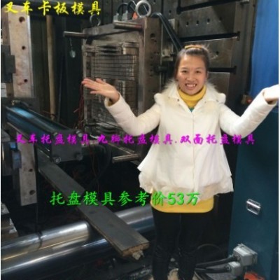 黄岩注塑模具厂 1.4m栈板塑胶模具 塑料网格托盘模具制造价格图1