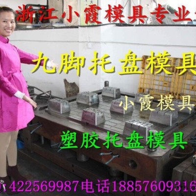 黄岩注塑模具厂 1.4m栈板塑胶模具 塑料网格托盘模具制造价格图6