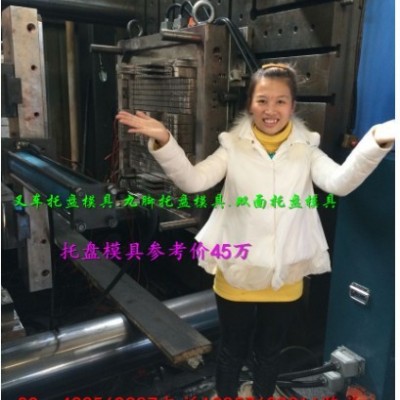 黄岩注塑模具厂 1.4m栈板塑胶模具 塑料网格托盘模具制造价格图3
