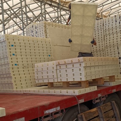 塑料模板出租价格 云南塑料模具 建筑建材模板图3