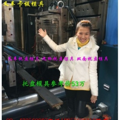 台州注塑模具厂 1.5m塑料栈板模具  一米三单面塑胶栈板模具低价促销图1