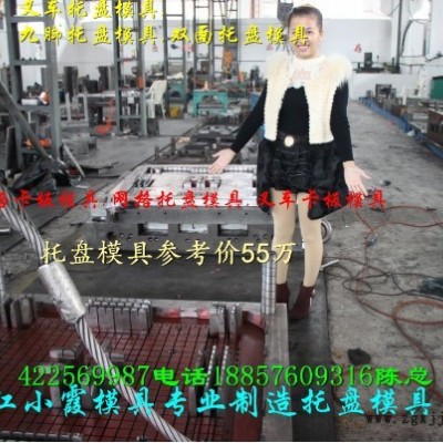 台州注塑模具厂 1.5m塑料栈板模具  一米三单面塑胶栈板模具低价促销图5