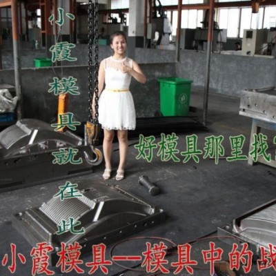 注塑模具 尼龙塑料模具生产 福特B-MAX车汽车后包围注射模具 挡泥板塑胶模具 浙江汽车塑胶模具专做注塑成型模图3