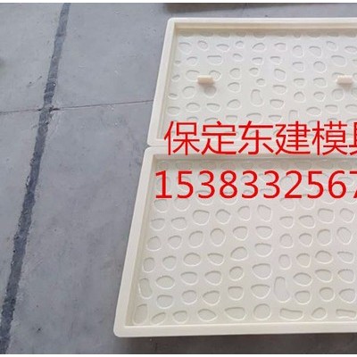 供应精密鹅卵石盖板塑料模具 注塑模具|高铁电力盖板模具价格图4