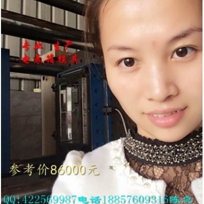 那有变压器防护罩塑料模具 配电箱注塑模具 7表电表箱塑料模具报价图6