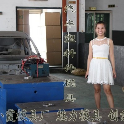 台州模具 中国做财运10车保险杠注射模 轿车注射模具 仪表台注射模具 汽车包围注塑模具 挡泥板注射模具制造图2