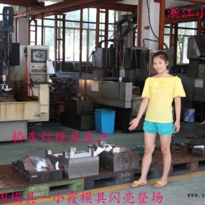 尼龙注塑模具加工 Veneno汽车保险杠主机厂模具 仪表台主机厂模具 专业生产汽车主机厂模具 保险杠主机厂模具生产地址图5