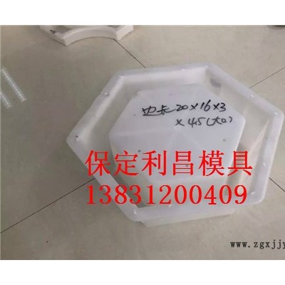 山体护坡塑料模具图3
