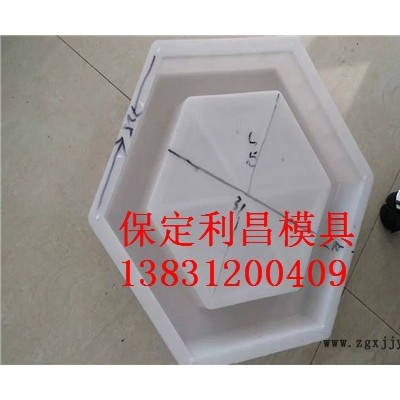 山体护坡塑料模具图4