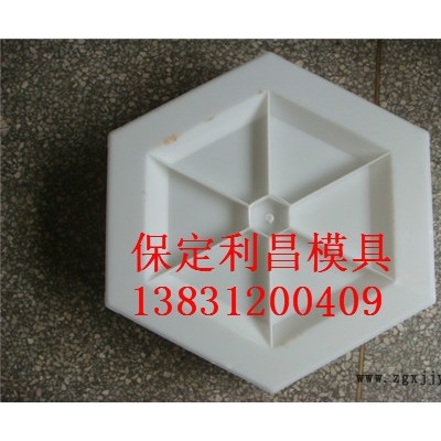山体护坡塑料模具图2