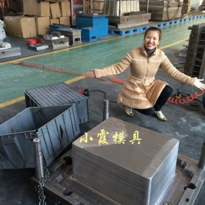运输整理筐模具小霞模具公司图6