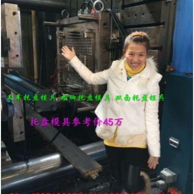 做注塑模具厂 1米1双面卡板塑料模具 1米1双层卡板塑料模具 1米1川字卡板塑料模具 1米1田字卡板塑料模具厂图7