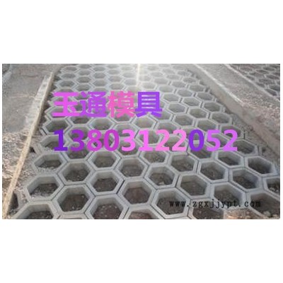 六角护坡塑料模具供应图4