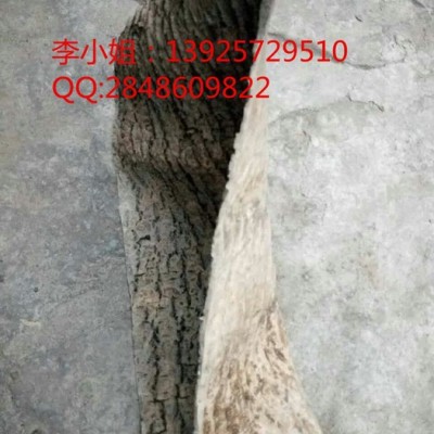 仿树皮复制用模具硅胶东莞厂家|翻模次数**树皮模具制作液体硅胶图3