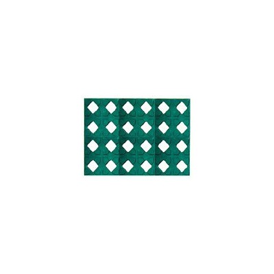 **的植草砖塑料模具图3
