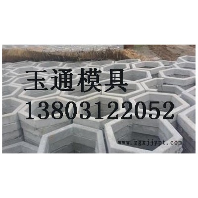 六角护坡塑料模具图7