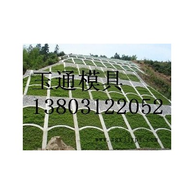 六角护坡塑料模具图6