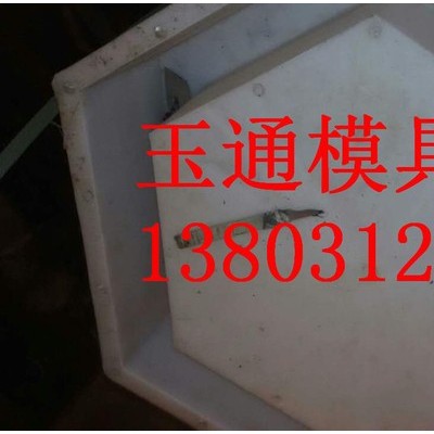 实心刘角护坡砖塑料模具图3