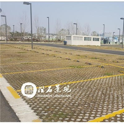 植草地坪 高承载植草地坪模具 厂家直供