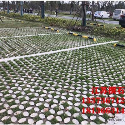 植草地坪 生态植草地坪模具厂家生产扬州至全国各地物流发货提供技术指导图8