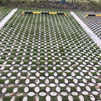 植草地坪 生态植草地坪模具厂家生产扬州至全国各地物流发货提供技术指导图3