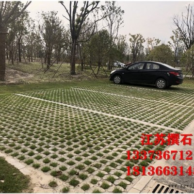 植草地坪 生态植草地坪模具厂家生产扬州至全国各地物流发货提供技术指导图7