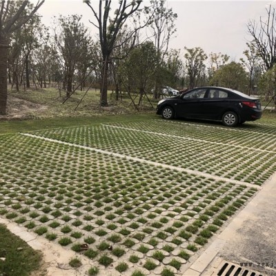 植草地坪 生态植草地坪模具厂家生产扬州至全国各地物流发货提供技术指导图4