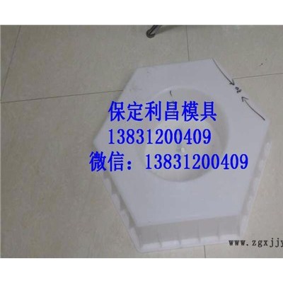 六角护坡塑料模具 利昌模具图5