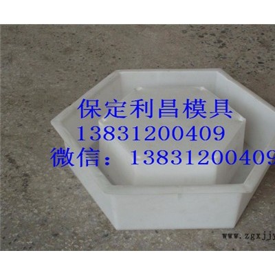 六角护坡塑料模具 利昌模具图2