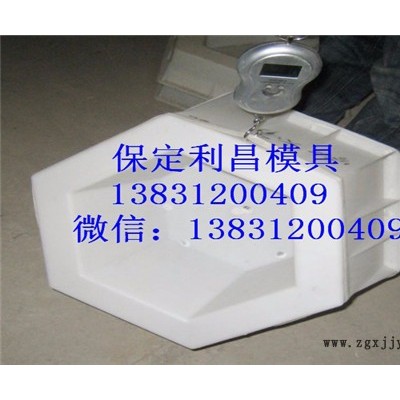 六角护坡塑料模具 利昌模具图3