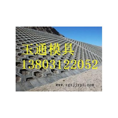 实心刘角护坡砖塑料模具加工图2