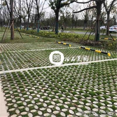 植草地坪/现浇混凝土植草地坪模具/不容错过图8
