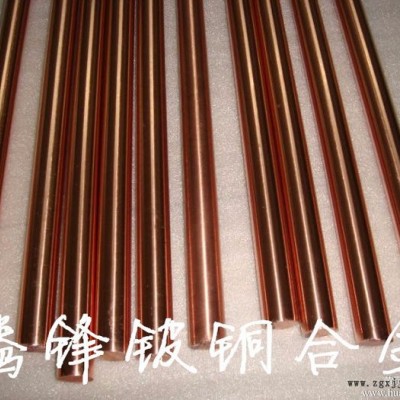 日本住友C17200C17200铍铜板 耐磨铍青铜板 高硬铍铜板材 模具铍铜板 厂家批发图6