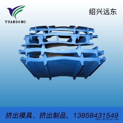 专业加工定制 集装箱 汽车密封条软硬共挤模具 挤出制品加工图6