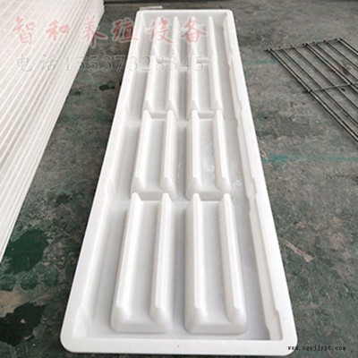 智和 欧式2.4米漏粪板模具 新款漏缝板模具 漏屎板塑料模具图2