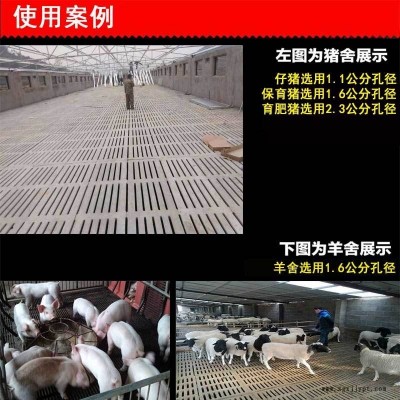 新乡漏粪板塑料模具厂家图5