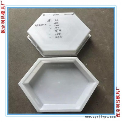 塑料六棱块模具 六棱块塑料模具 六棱块模具厂家直销图1
