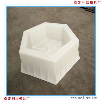 塑料六棱块模具 六棱块塑料模具 六棱块模具厂家直销图2