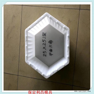 水泥实心六棱块模具塑料模具厂家定制图1