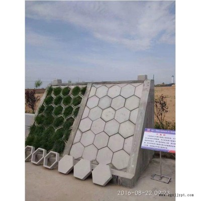 高速护坡模具  公路护坡塑料模具  水利连锁护坡模具  六角护坡模具图4
